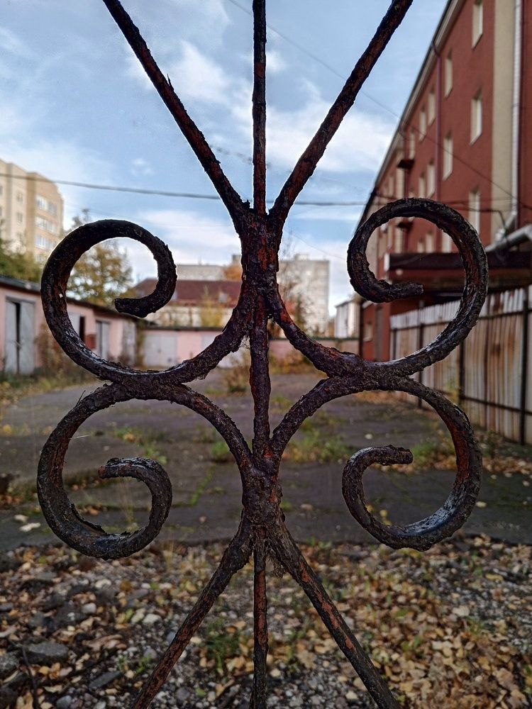 Photograph by Дина Полухина