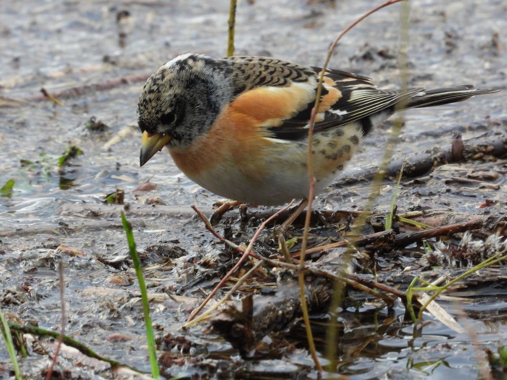 Photograph by Владимир Джерихов