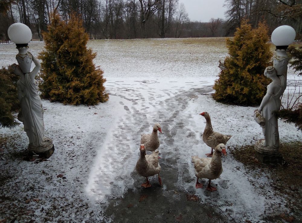 Photograph by Boris Butianov