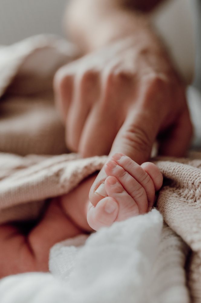 Photograph by Fotografkazesemil