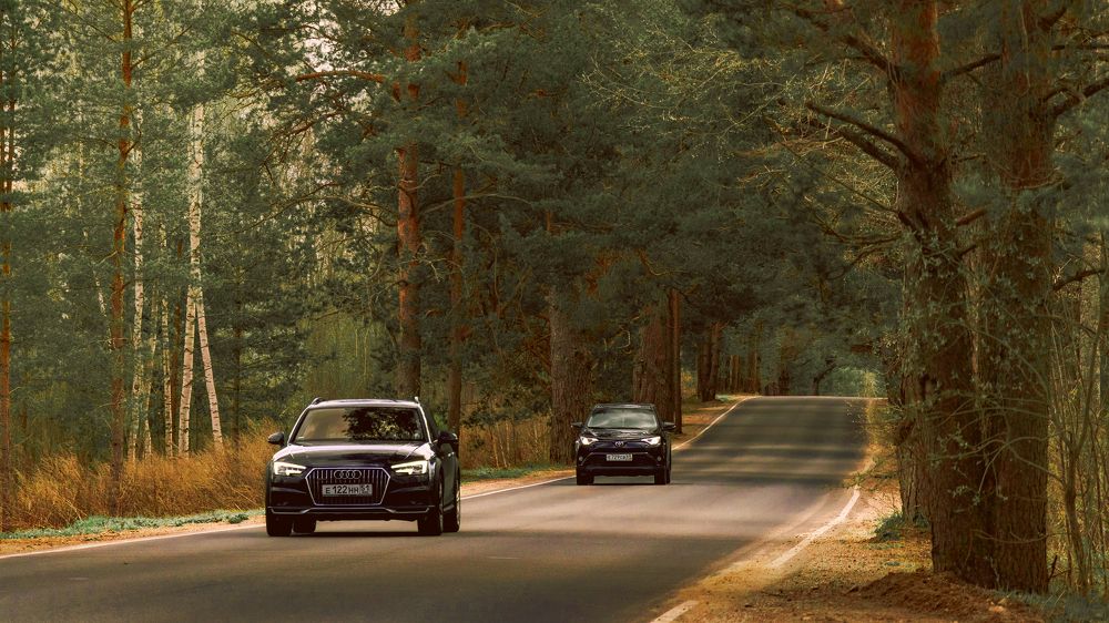 Photograph by Victoria Popkova