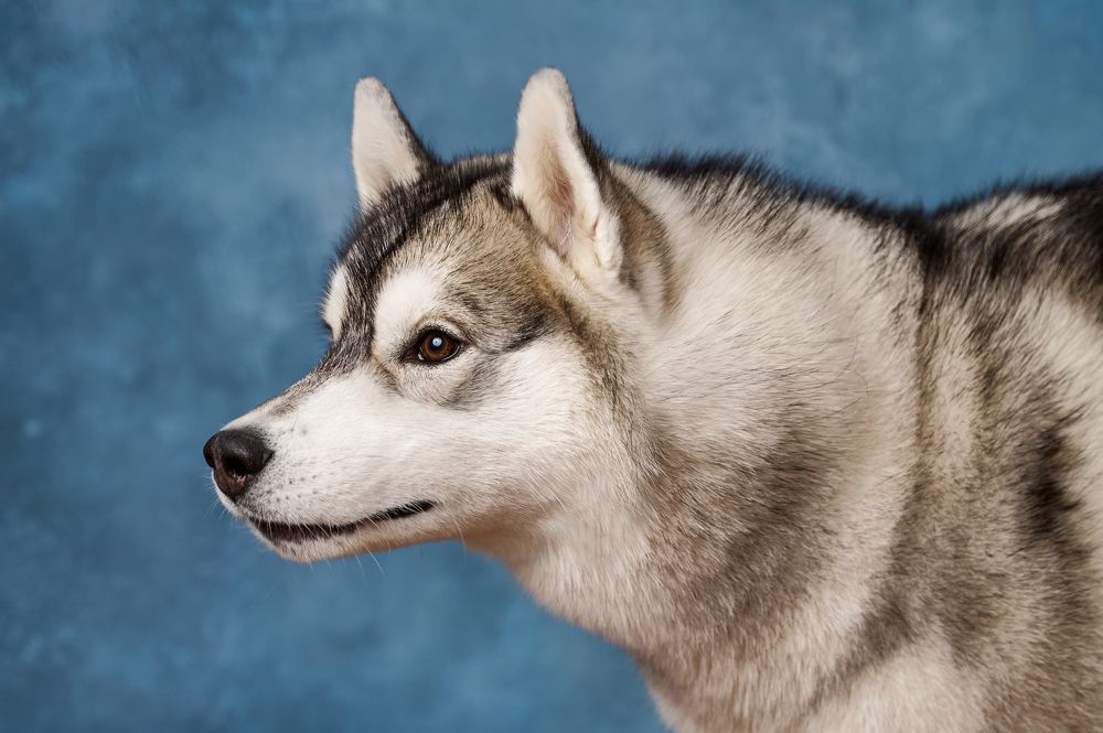 Photograph by Ксения Щербань