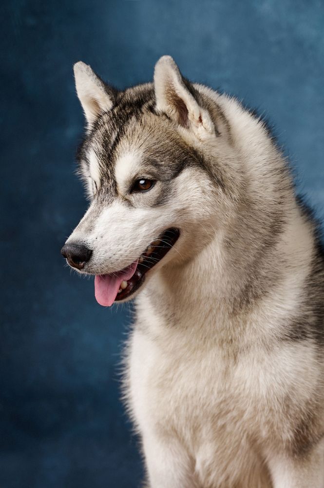 Photograph by Ксения Щербань