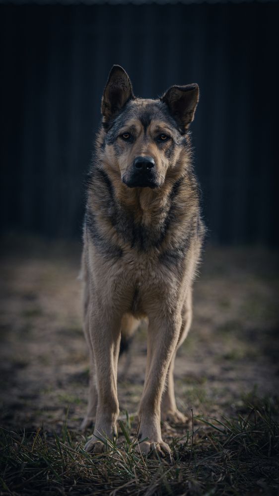 Photograph by Данил Шауба