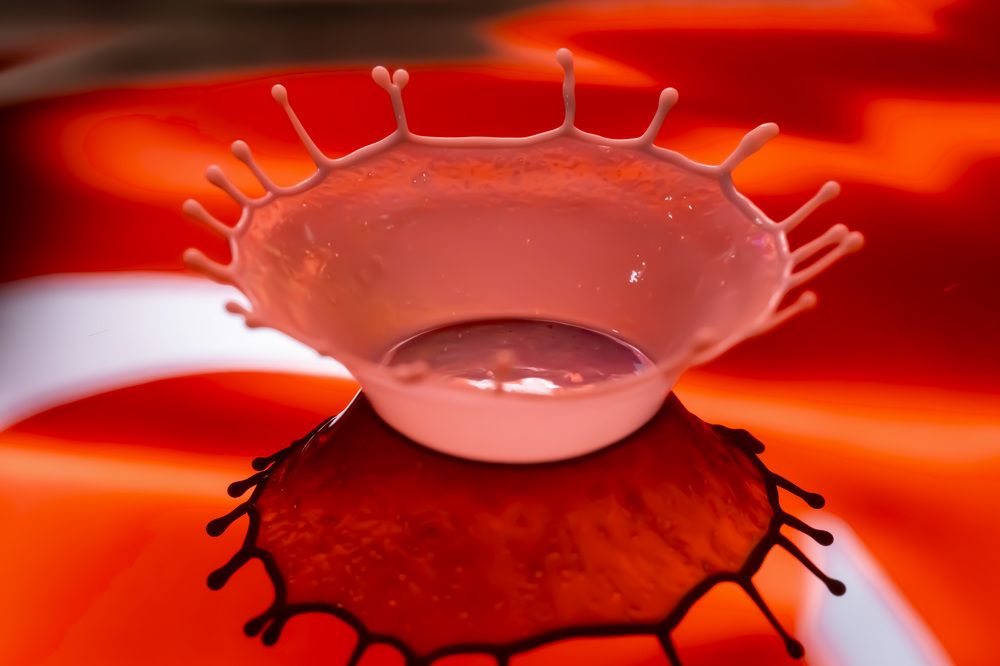 Photograph by yaşar Satar