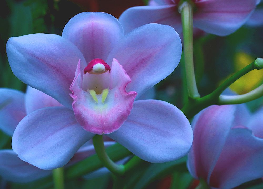 Photograph by Гагик Саркисян