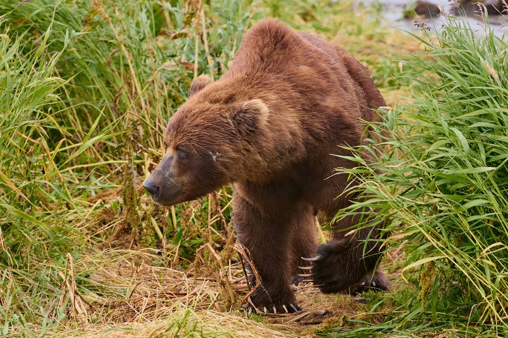 Photograph by Mikhaylov Mikhail