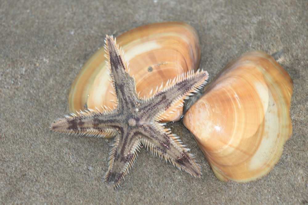 Photograph by Waleed Yousuf Alwahaibi