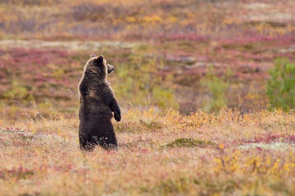 Photograph by Mikhaylov Mikhail