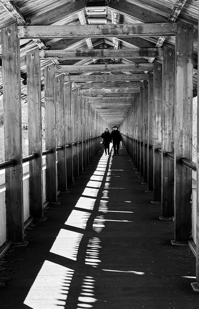 Photograph by Екатерина Слепнева