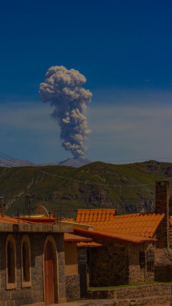 Photograph by Ekaterina Narozhnova