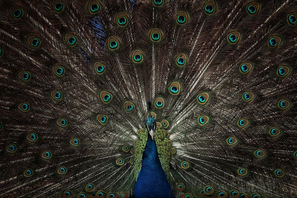 Photograph by Елена Кириллова