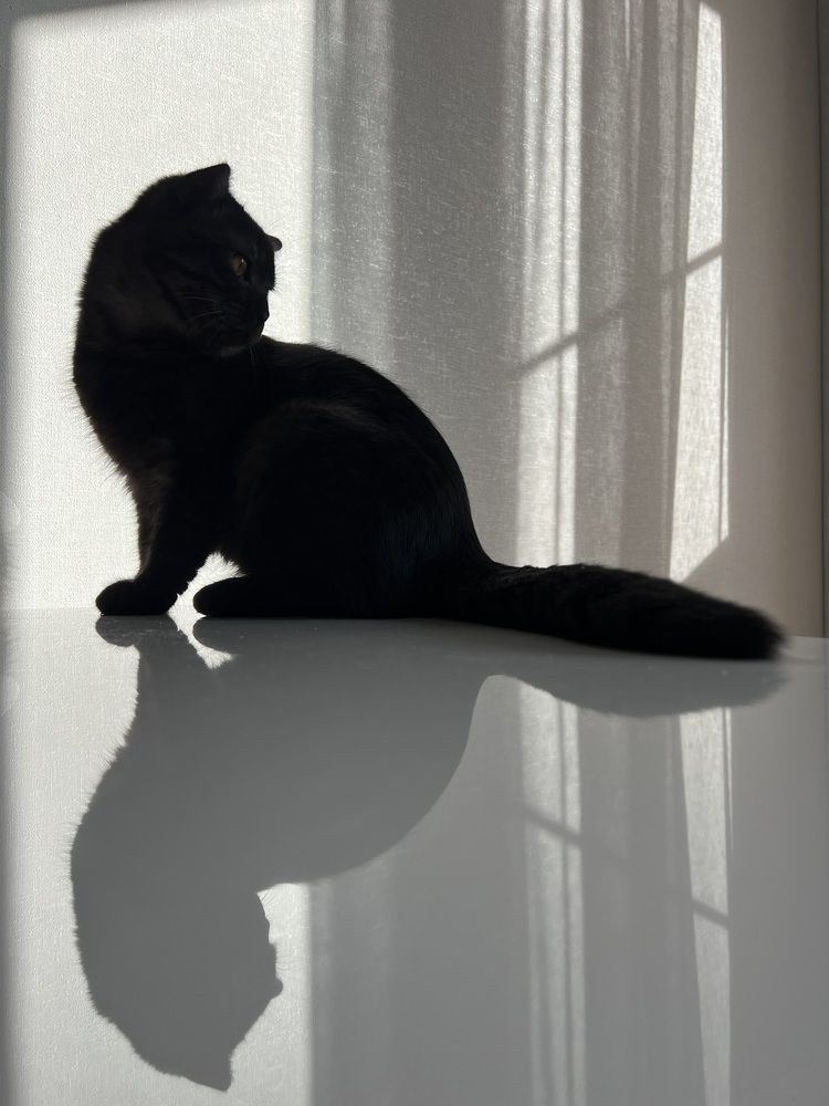 Photograph by Елена Струнец