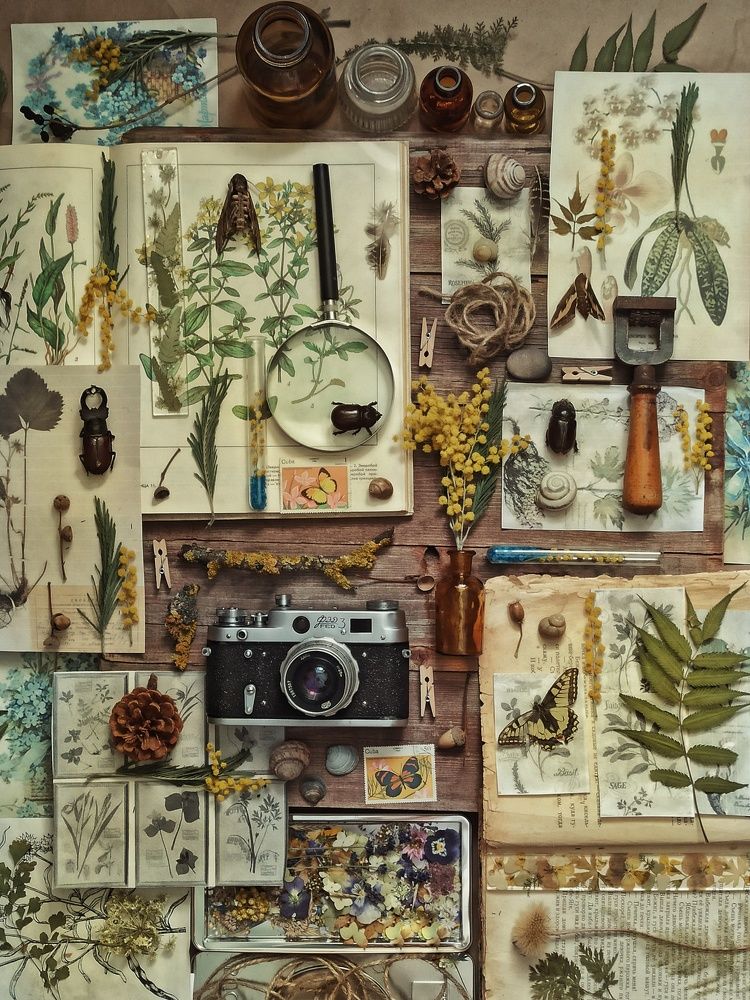 Photograph by Новикова Елена Сергеевна