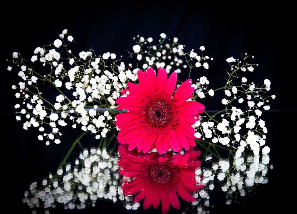 Photograph by Ольга Яскунова