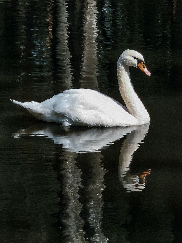 Photograph by Inna Iudina