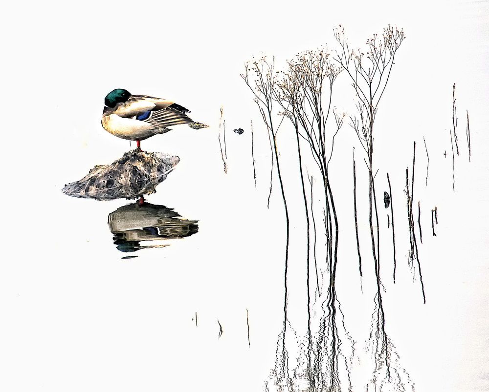 Фотография автора Александр