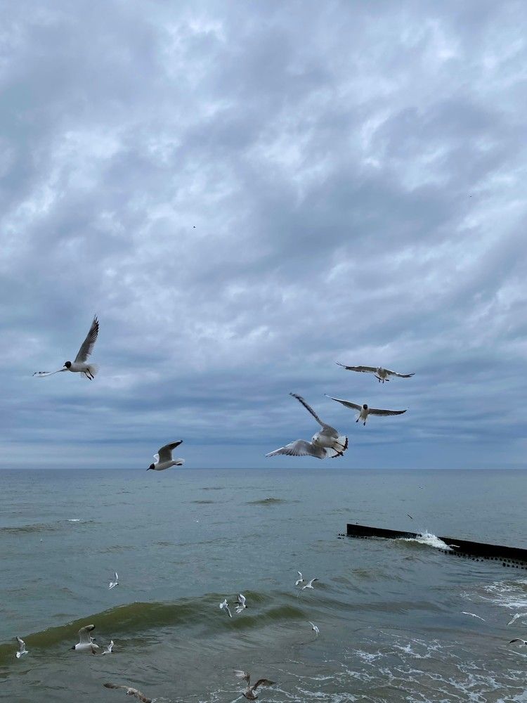 Photograph by Юля Комкина