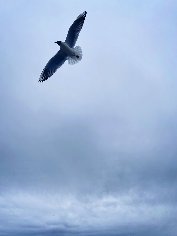 Photograph by Юля Комкина