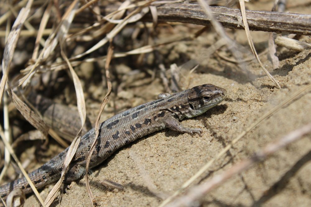 Photograph by Елена Коробченко