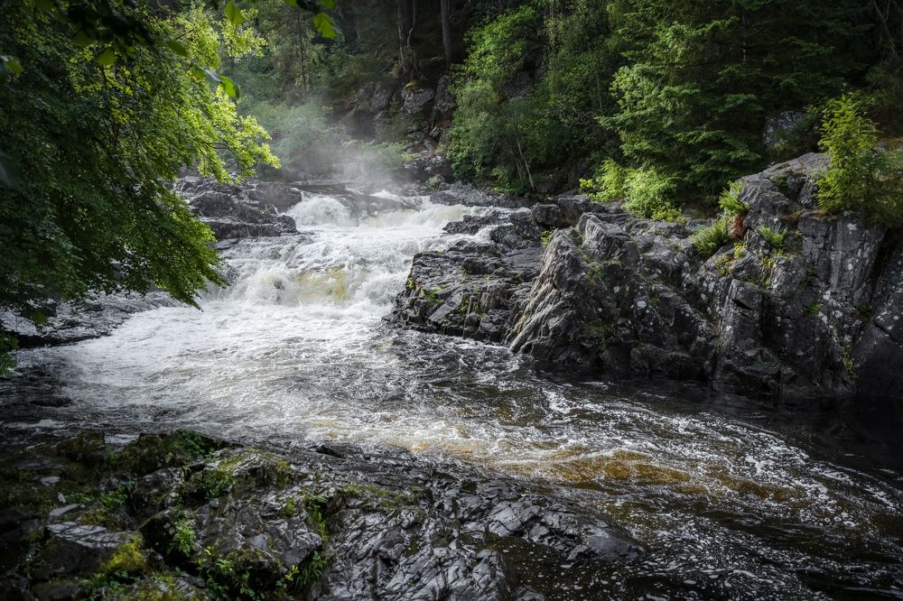 Photograph by Alvils Baltins