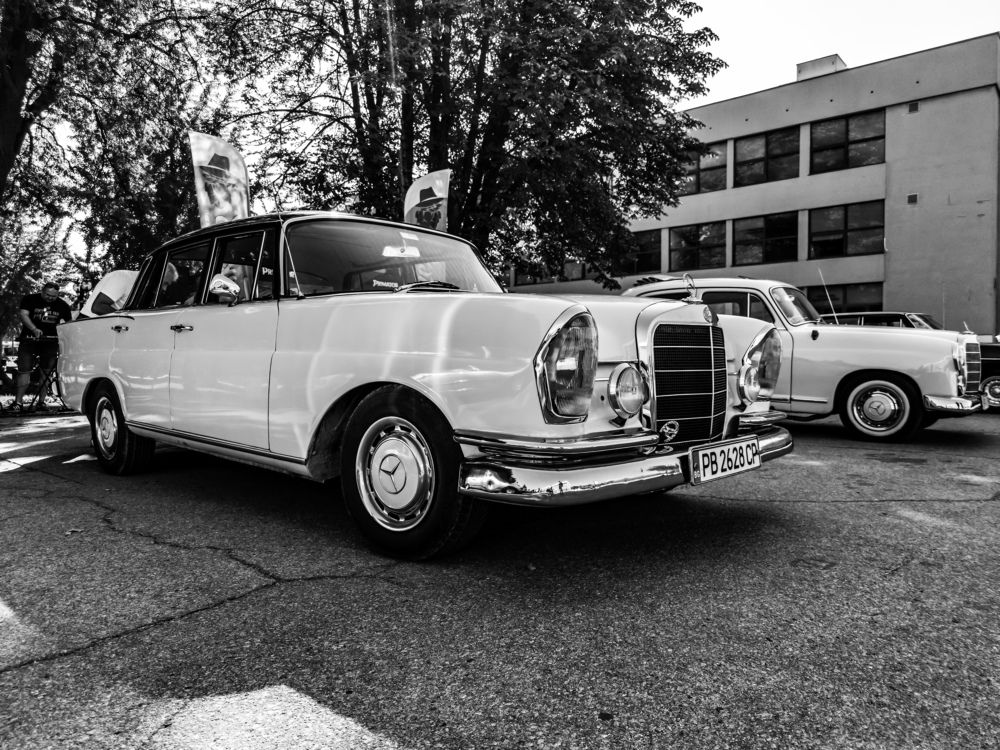 Photograph by Nikolay Draganov