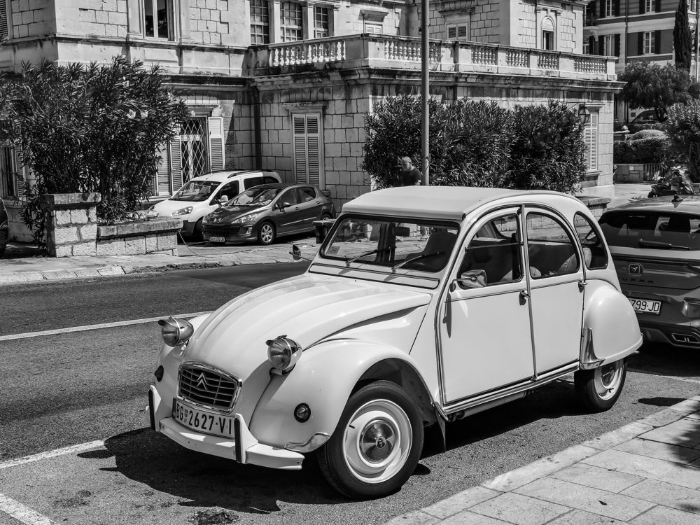 Photograph by Nikolay Draganov