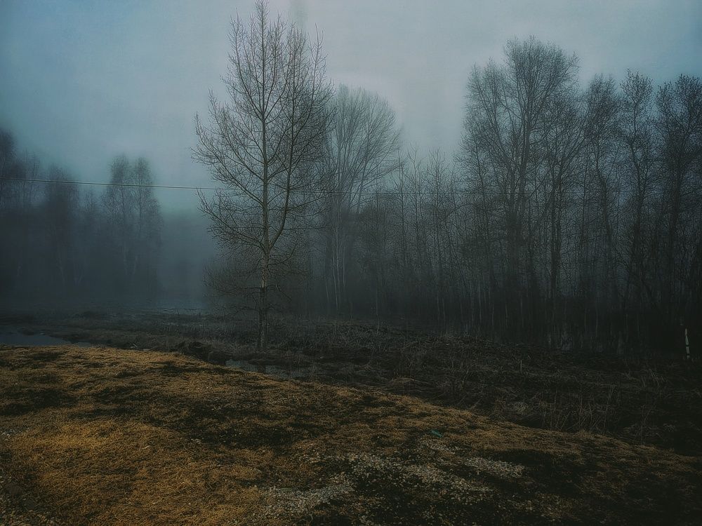 Photograph by Наталья Веряскина