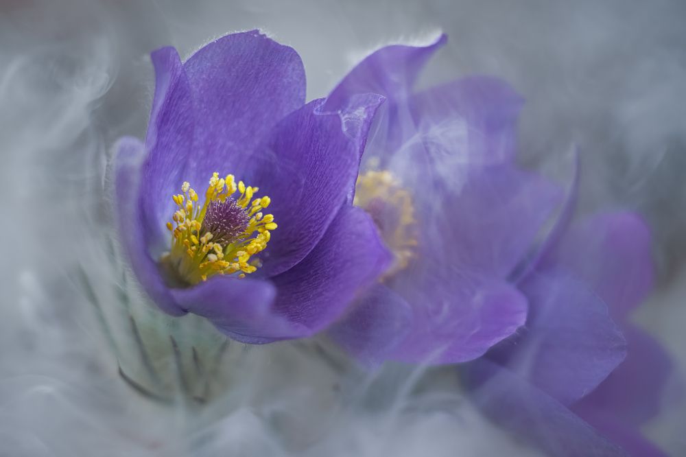 Photograph by Alvils Baltins