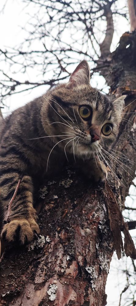 Photograph by Григорий Полосин