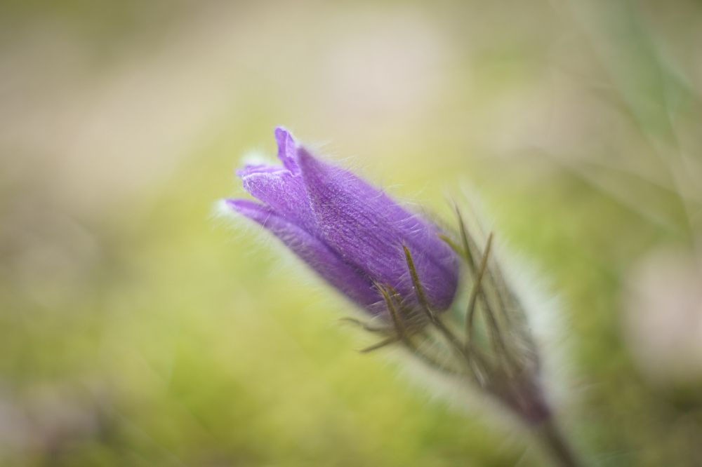 Photograph by Alvils Baltins