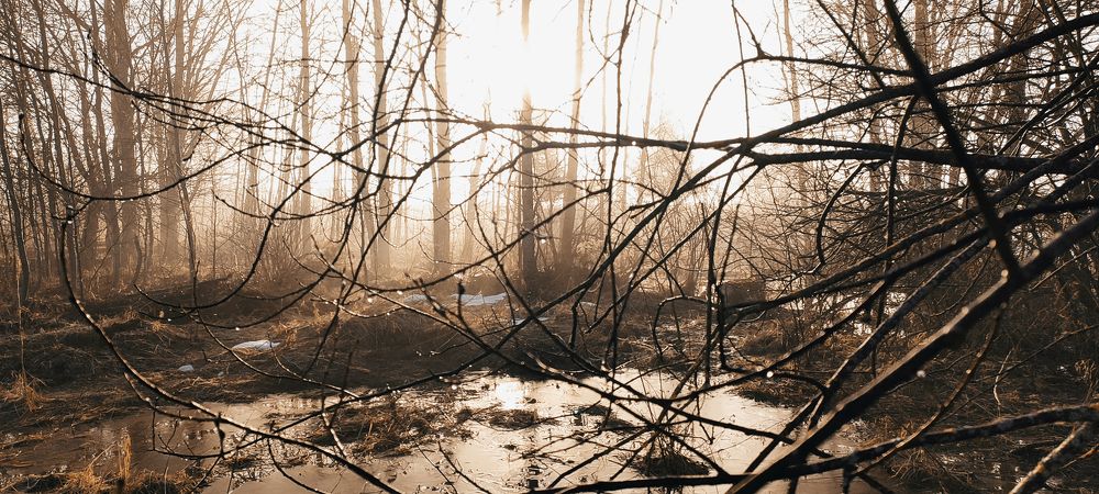Photograph by Григорий Полосин