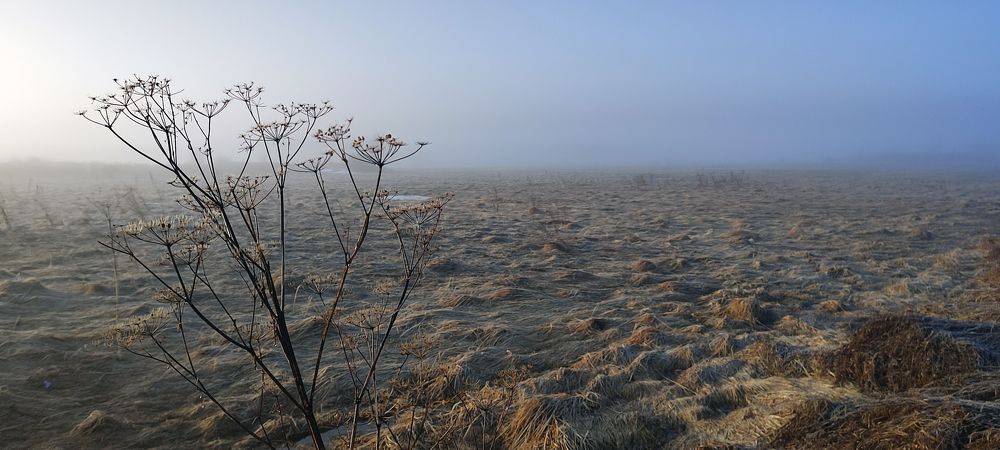 Photograph by Григорий Полосин