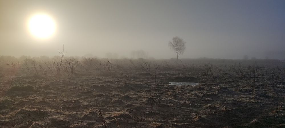Photograph by Григорий Полосин