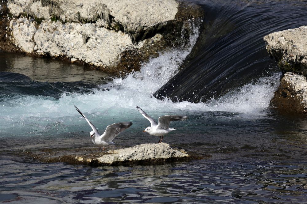 Photograph by Alik Khasanov