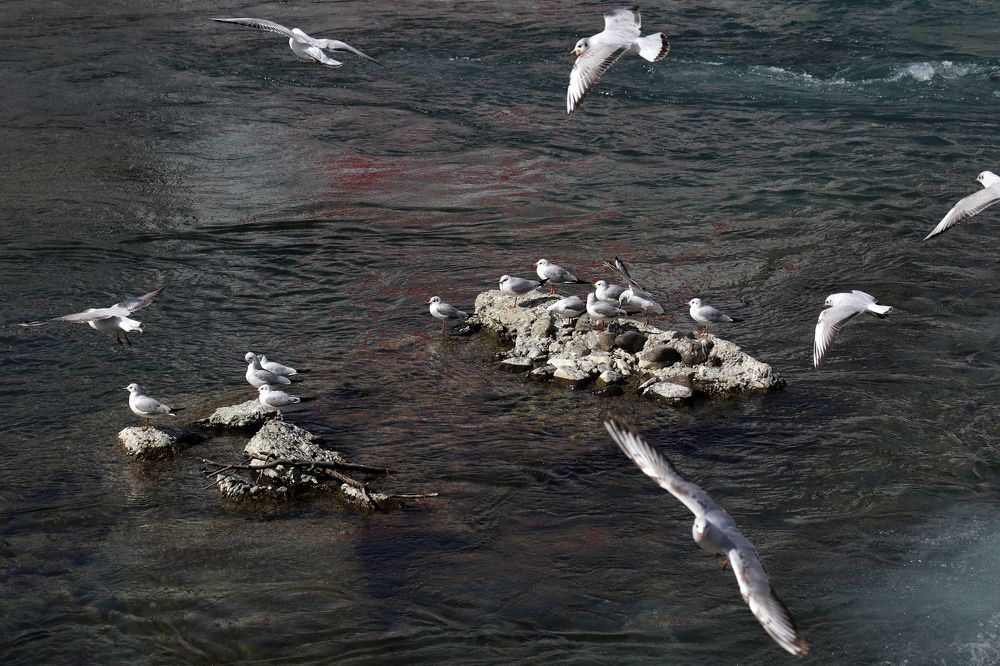 Photograph by Alik Khasanov