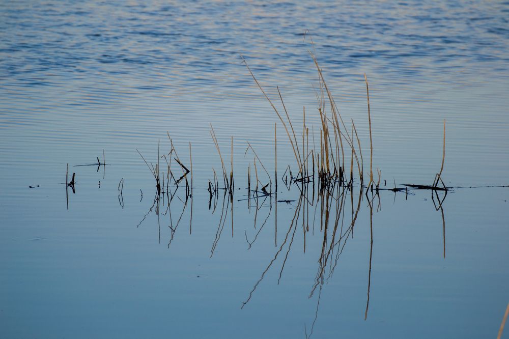 Photograph by Олег Алексеев