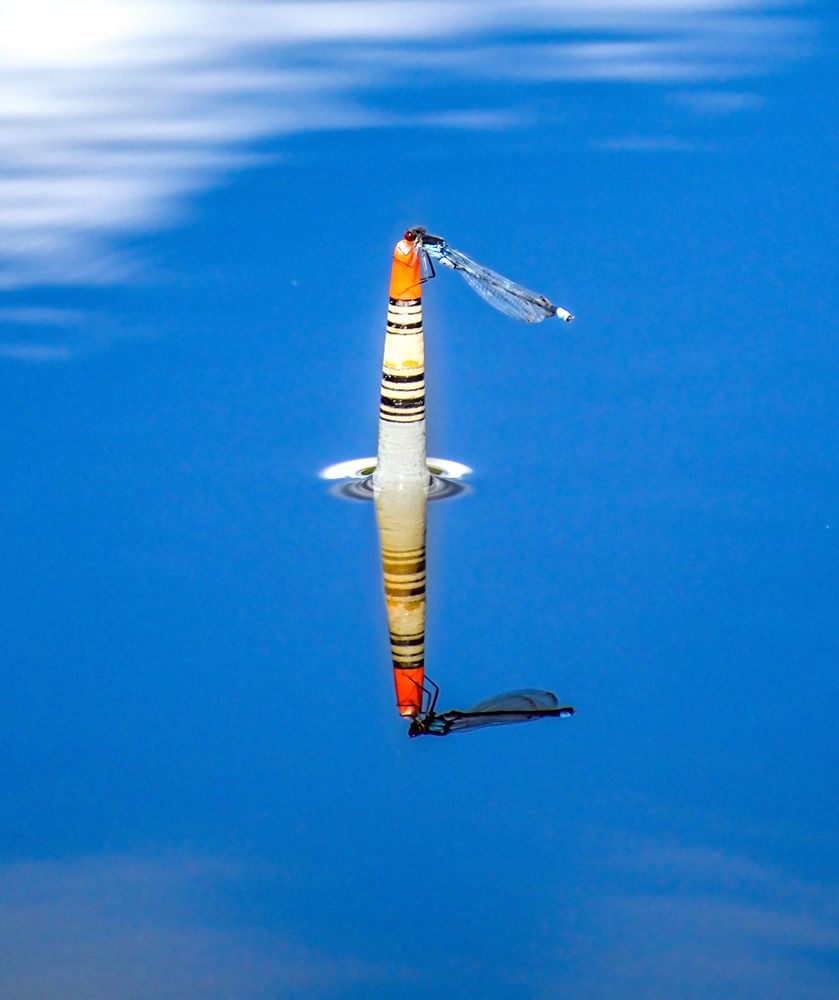 Photograph by Margarita