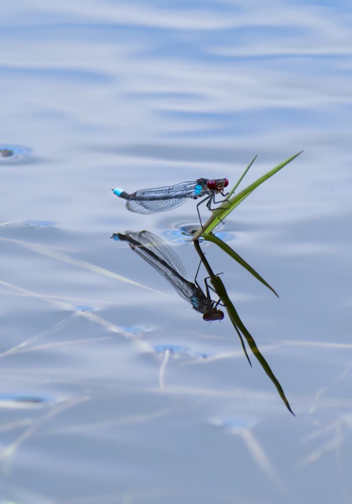 Photograph by Margarita