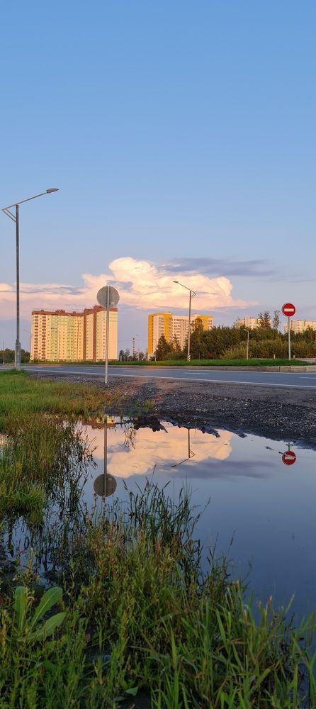 Photograph by Natasha Kim