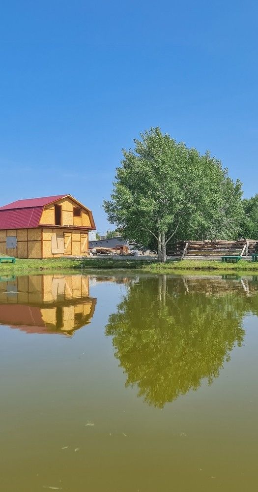 Photograph by Natasha Kim