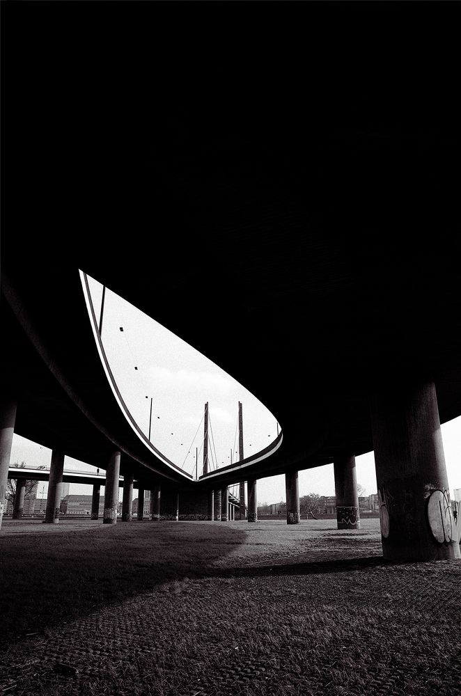 Photograph by Viktoriia Okhrimenko