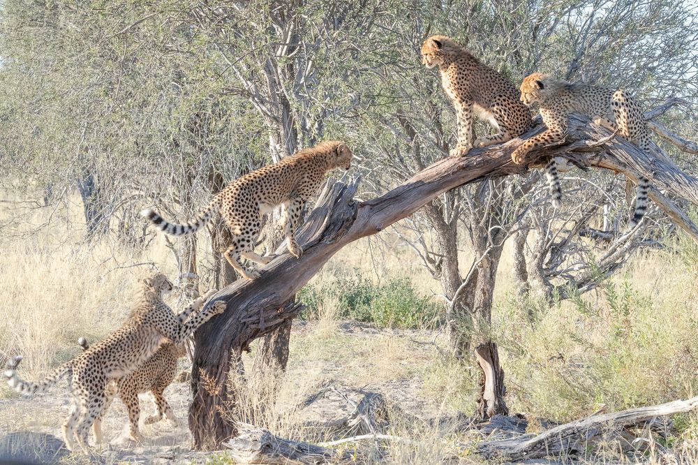 Photograph by Raquel Barao