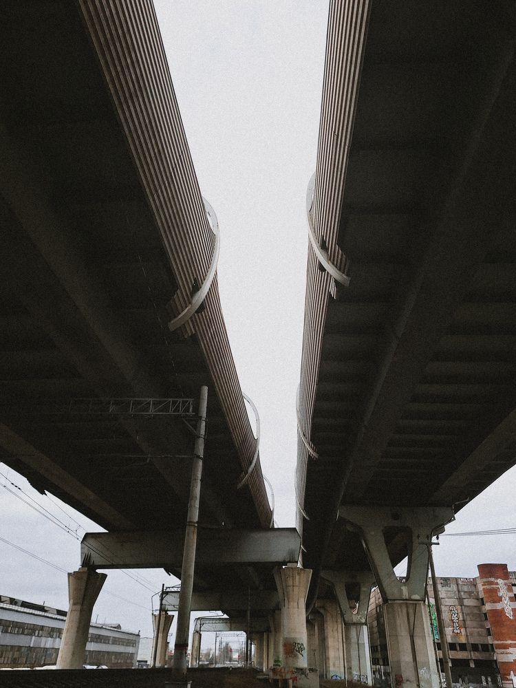 Фотография автора Дарья Макаревич