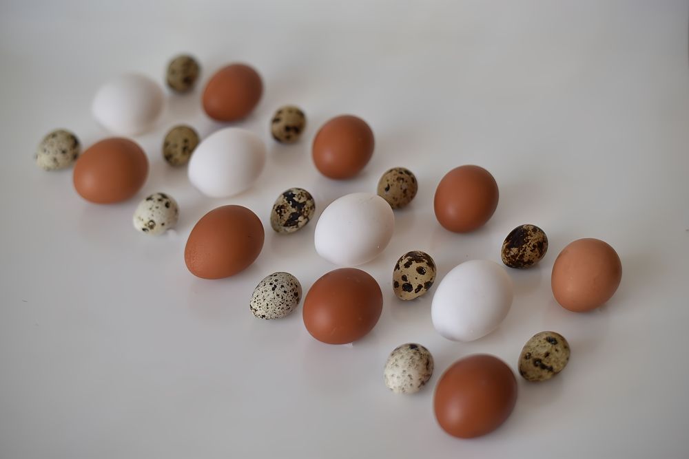 Photograph by Римма Бобрякова