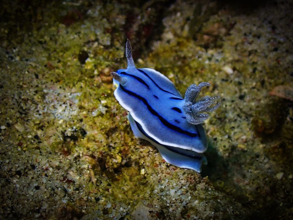 Photograph by Анна