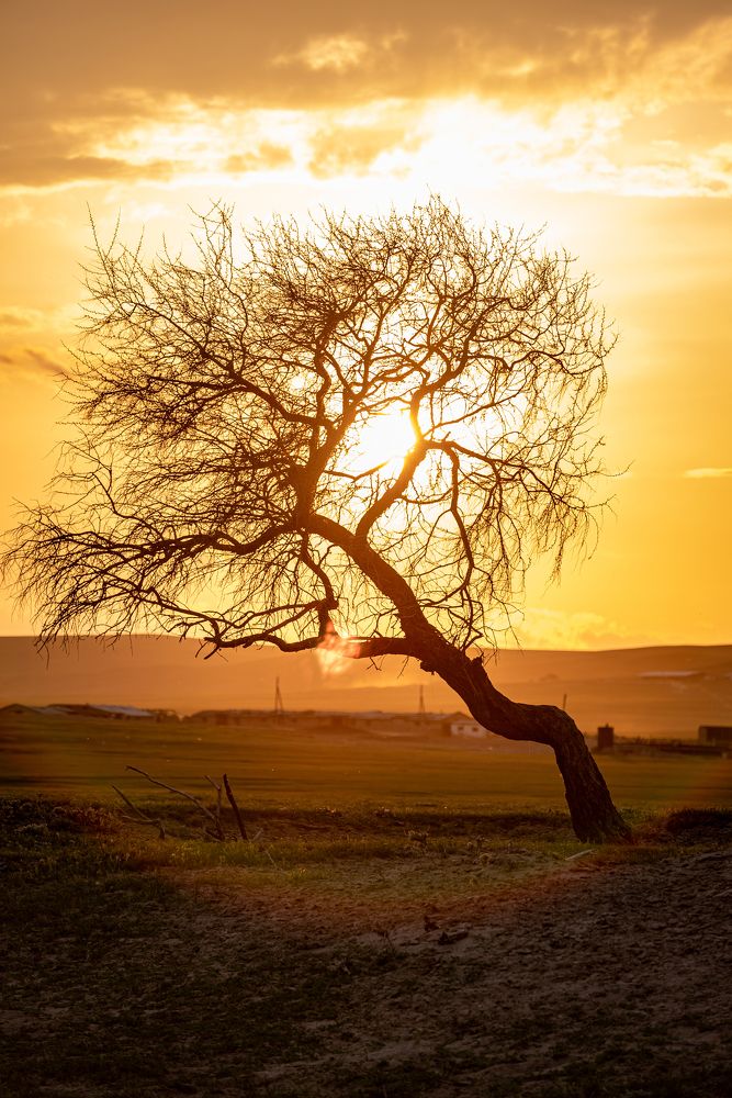 Photograph by Алексей Торлопов