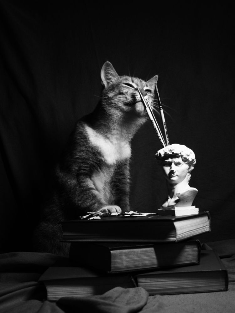 Photograph by Вадим Вейдт