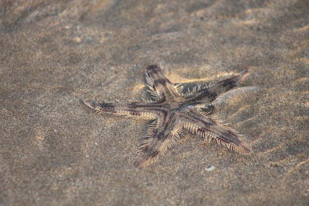 Photograph by Waleed Yousuf Alwahaibi