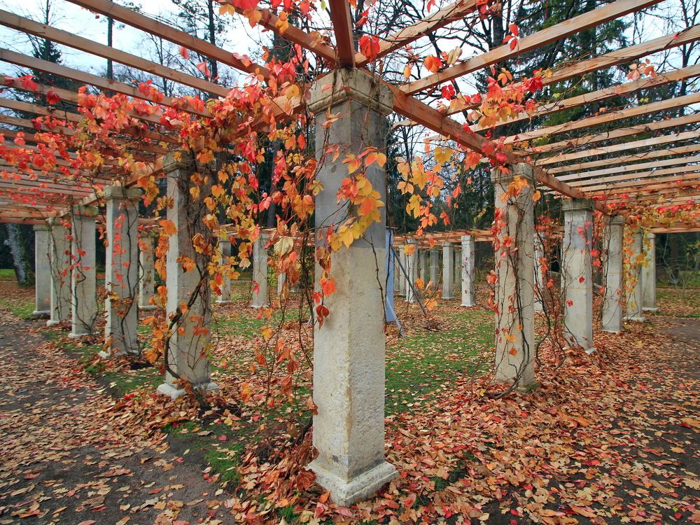 Photograph by Станислав Староверов